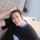 하룻강아지 이미지