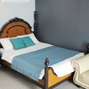 프렌즈 애견 이미지