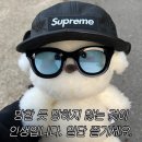 씨엘로뮤직 이미지
