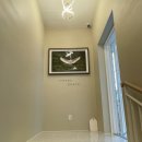 미르메딕스 이미지