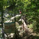 합수농장 이미지