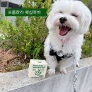 프롬비건