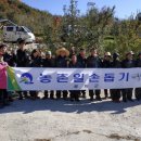 명호면사무소 이미지