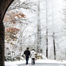 &#34;숲길 걷고 온천에서 쉼표&#34; 새해를 위한 완벽한 여행지 추천 이미지