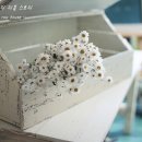 해피리폼