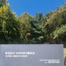 옥정암지  마애석불  좌상 이미지