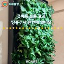 땅콩이네 | 볼패임 팔자주름 시술 쥬베룩 땅콩주사 후기