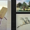 박정희로-3 이미지