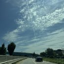 충주호수상레저 네이버블로그