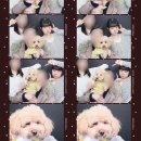 씨유 언양동문길점 | 제주