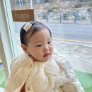 김포 마산동 생일케이크 예약 비건케이크 카페 모두의정원