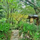 고흥들꽃하우스 이미지