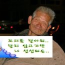 볕들