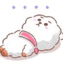 요즘 신조어 정리(5개 이하면 아재ㅠㅠ). 이미지