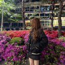 빽다방대전터미널서관점