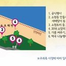 속초해변(중문) 이미지