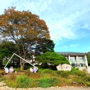 국립수목원 산림박물관 | 포천 여행 가볼만한곳 국립수목원 산림박물관 예약과 입장료