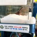대한키즈스윔스쿨 김천캠퍼스 이미지