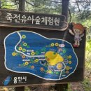죽전유아숲체험원 네이버블로그
