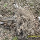 느티나무농원 이미지