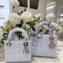 레이디올 이미지