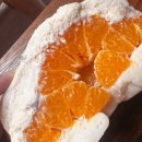 몽스텔 | 천안 불당동 빵 맛집 베이글 반암스테르담 쫀득 샌드 내돈내산후기