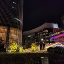 트리트멍멍 이미지