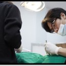 부원뉴욕치과병원 이미지