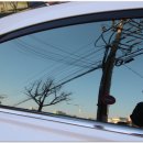 몬스터모터스 이미지