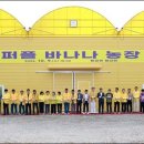 인구농장 이미지