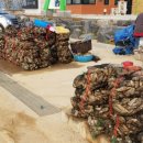 해돋이정보화마을 이미지