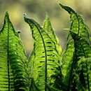 학사 행정사 사무소 이미지