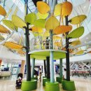 소망아기어린이집 | 화정 어린이박물관｜아이그루·물놀이·몽골체험·전통놀이·역할놀이·연주공간 (두돌아기 방문 후기)