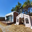 배때기네하우스 이미지