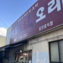 낙동생오리 이미지