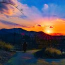 석양풍경 이미지