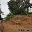 신대동카 이미지