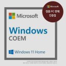 네트웍소프트 | 윈도우 11 Home 정품 최저가! 마이크로소프트 Windows 11 구매 후 솔직 후기