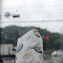 다온김밥 이미지