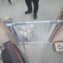 몽몽이발소 이미지