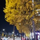 너머분식 | 정자동 방과후 분식 아이도 좋아한 후기