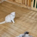 집사의 하루 일산점 이미지