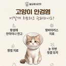 인동동물병원