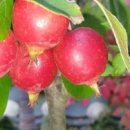 한옥솔솔 이미지