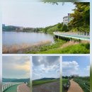 광평교 화장실 이미지