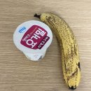 배내피트 | [일상] 22.01.28 아이고 내코!! 🥕❄️