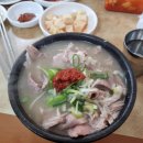 (주)데이터플로 | BTS 콘서트 정규 5집 'ARIRANG' 컴백! 6월 부산 콘서트 티켓팅,시야,NOL 예매 꿀팁