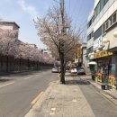 서울풍납동우체국