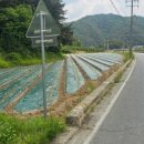 창고 옆 이미지