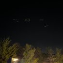 과천재즈피크닉 | 5월 축제 과천 재즈 피크닉 후기